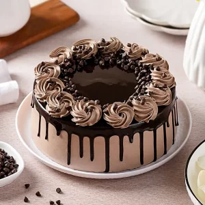 Choco Drip Chocolate Cake